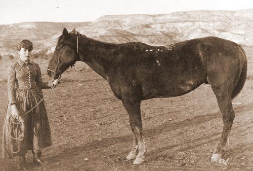 Traveling in Arizona